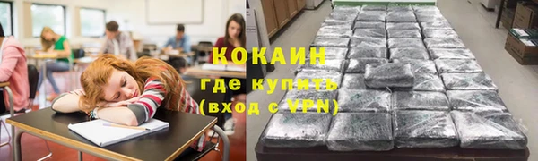 прущие грибы Абинск