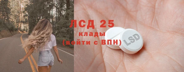 СК Алексин