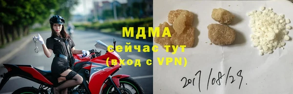 прущие грибы Абинск