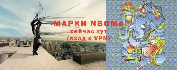 СК Алексин