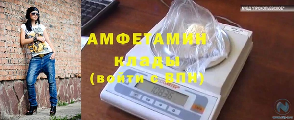 прущие грибы Абинск