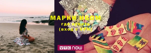 прущие грибы Абинск