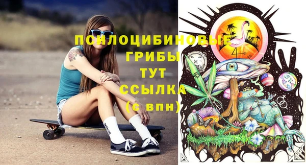 прущие грибы Абинск