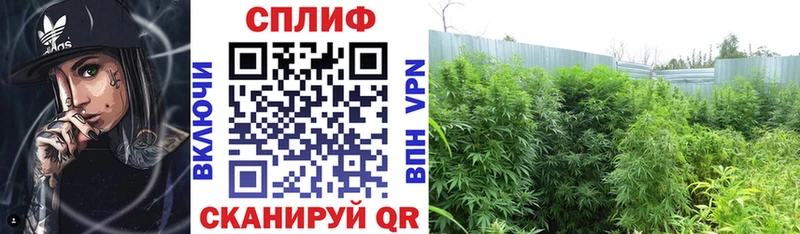 Каннабис MAZAR Ростов-на-Дону
